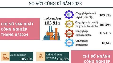 Kinh tế Đà Nẵng 8 tháng: Doanh thu du lịch tăng gần 50%, chỉ số sản xuất ngành khai khoáng giảm mạnh