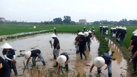 Du lịch nông nghiệp - cơ hội mới cho người nông dân Thủ đô