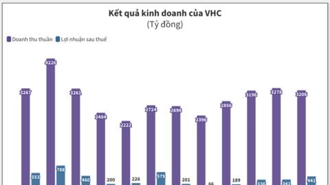 Vĩnh Hoàn: Lợi nhuận năm 2024 tăng mạnh, trích dự phòng gần 42 tỷ cho đầu tư cổ phiếu