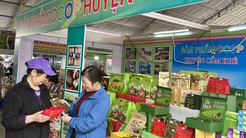 OCOP Phú Thọ – Bệ phóng cho sản phẩm địa phương vươn xa