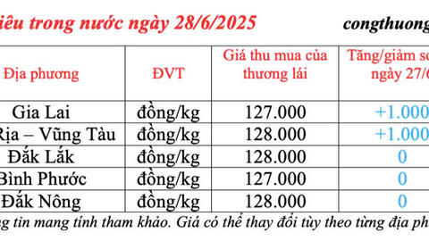 Giá tiêu hôm nay 28/6/2025: trong nước duy trì đà tăng