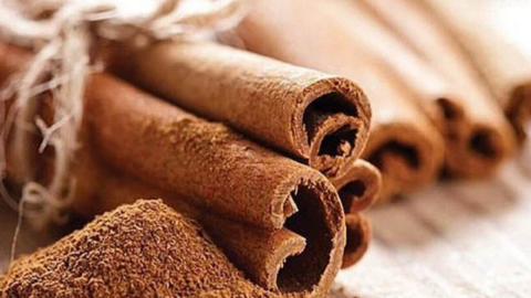 Gia nhập 'cuộc chơi' Net Zero: Mở rộng không gian xuất khẩu