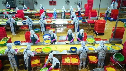 Xuất khẩu rau quả ước vượt 3,8 tỷ USD sau 7 tháng, hướng tới mục tiêu 8 tỷ USD