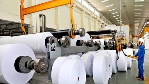 Giải 'bài toán' mở rộng thị trường: Cơ hội nào cho ngành giấy Việt?