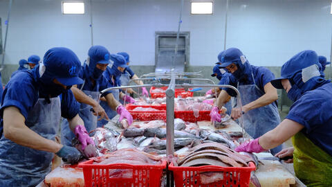 Xây chuỗi - mở kênh: Đòn bẩy mới để nông thủy sản chinh phục EU