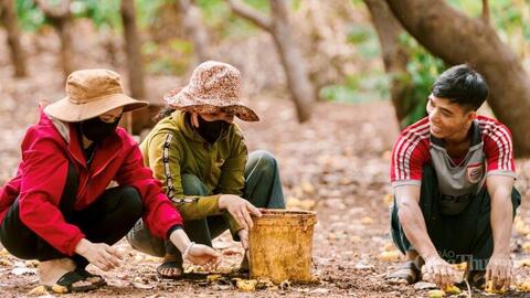 Gia Lai đánh thức vùng biên, khai mở dư địa phát triển