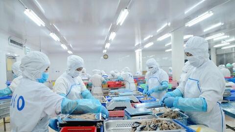 Doanh nghiệp đang 'chuyển mình' theo các chuẩn mực trong EVFTA