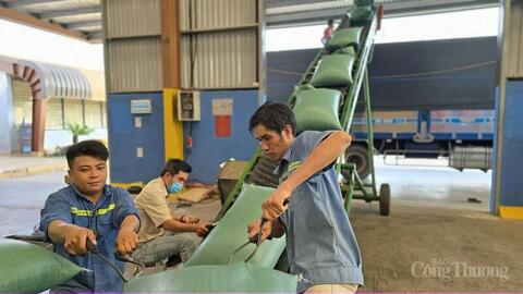 Gia Lai: Sắp diễn ra Hội nghị xúc tiến xuất khẩu vào thị trường Trung Quốc