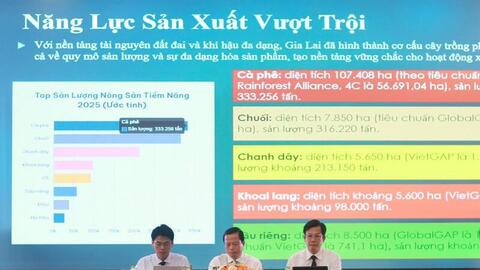 Cơ hội lớn cho nông sản Gia Lai tại thị trường Trung Quốc