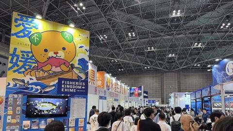 CPTPP - thị trường chủ lực của cá tra Việt Nam