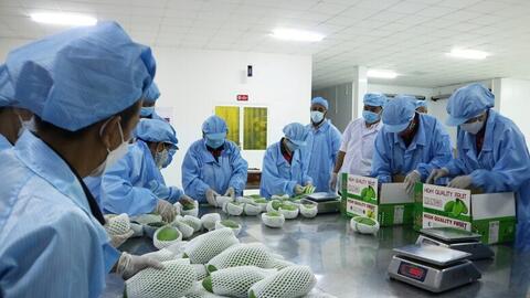 Doanh nghiệp Việt trước 'sóng' cạnh tranh từ RCEP