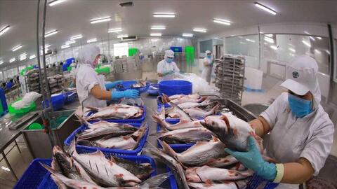 Cảnh báo sớm từ địa phương: Doanh nghiệp vững vàng 'vượt rào' phòng vệ