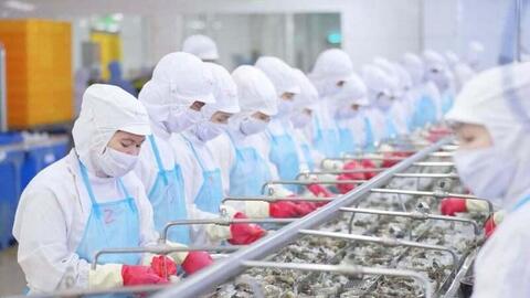 'Làm mới' thị trường truyền thống, tạo dư địa đẩy mạnh xuất khẩu