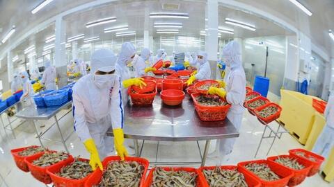 Doanh nghiệp Việt Nam có lợi thế lớn nếu EFTA ký kết FTA