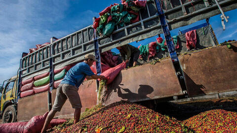 Doanh nghiệp chuyển mình, tận dụng EVFTA xây dựng thương hiệu