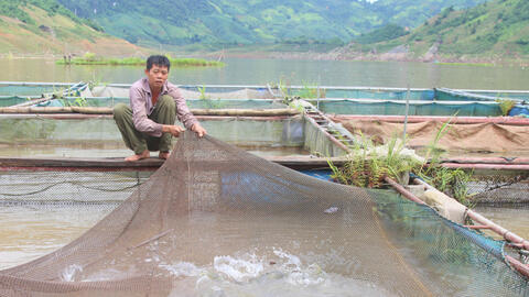 Nông nghiệp hàng hoá: Trái ngọt từ chính sách tiếp sức miền núi