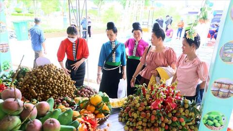 Doanh nghiệp: Chủ lực kiến tạo thị trường cho nông sản vùng cao