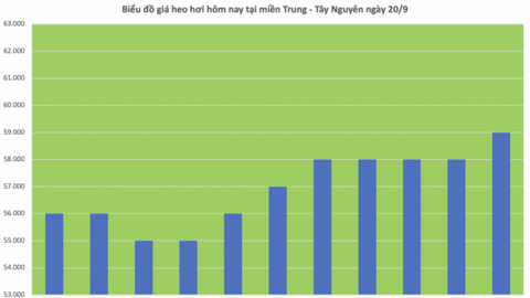 Giá heo hơi hôm nay 20/9/2025: Đi ngang trên cả 3 miền