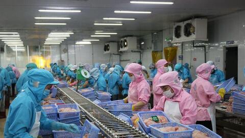 Điều kiện 'vàng' để doanh nghiệp không bỏ lỡ lợi thế trong EVFTA