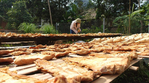 Lào Cai: Xây dựng thương hiệu, nâng cao giá trị cho măng Lâm Thượng