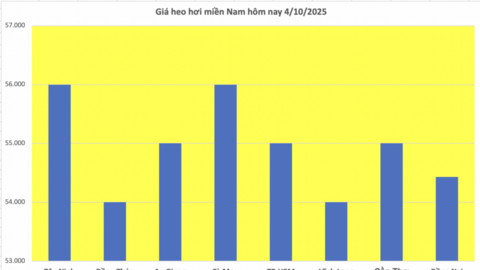 Giá heo hơi hôm nay 4/10/2025: Miền Trung giảm tới 2.000 đồng/kg