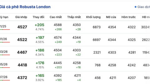Giá cà phê hôm nay 5/10/2025: Bật tăng 1.600 đồng/kg