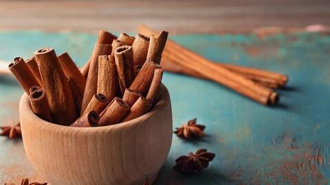 Chuỗi giá trị quế Ba Chẽ: Ý chí đồng bào viết tiếp 'khúc ca' rừng xanh