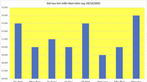Giá heo hơi hôm nay 18/10/2025: Biến động trái chiều