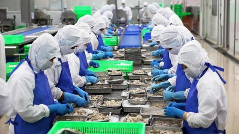 Thuỷ sản Việt Nam giữ vị trí top 3 xuất khẩu lớn nhất vào Singapore