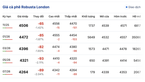 Giá cà phê hôm nay 28/10/2025: Tăng nhẹ 500 đồng/kg