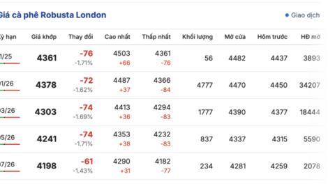 Giá cà phê hôm nay 29/10/2025: Đồng loạt sụt giảm
