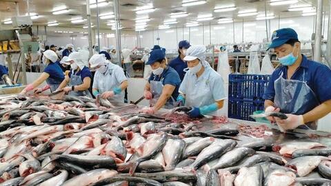Thủy sản Việt: Nắm chuẩn EU để mở rộng xuất khẩu