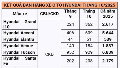 TC GROUP bán ra 5.260 xe trong tháng 10/2025