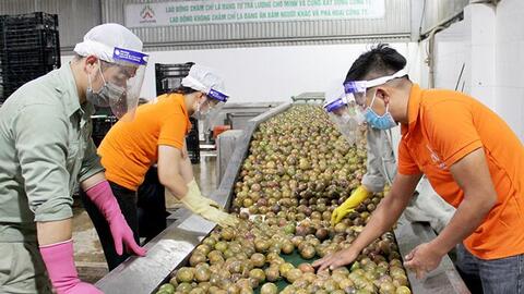 Bộ Công Thương khuyến cáo doanh nghiệp cập nhật quy định mới của Trung Quốc về xuất khẩu thực phẩm