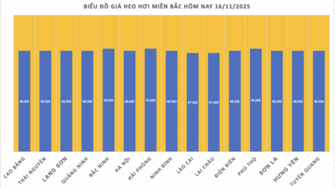 Giá heo hơi hôm nay 16/11/2025: Tạm chững phiên cuối tuần