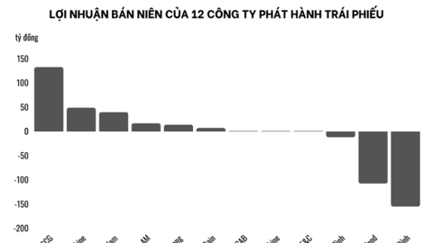 12 công ty liên quan Sunshine Group nợ trái phiếu hơn 18.000 tỷ, áp lực đáo hạn tập trung vào năm sau