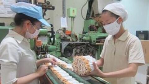 Vinataba muốn rút hết vốn khỏi mì Miliket, bánh kẹo Hải Hà Kotobuki