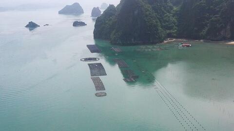 Doanh nghiệp, HTX Quảng Ninh gặp khó vì thủ tục giao biển