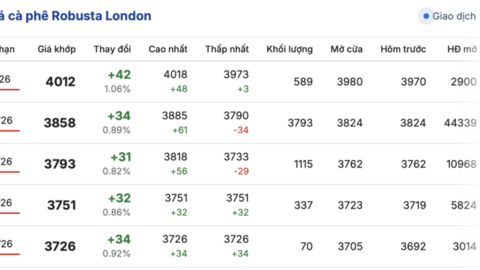 Giá cà phê hôm nay 27/12/2025: Tiếp tục tăng mạnh