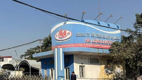 9 đối tượng bị khởi tố vụ 120 tấn thịt lợn nhiễm dịch tả làm thịt hộp ở Hải Phòng