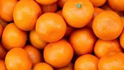 Ăn quýt đúng cách mỗi ngày giúp cơ thể khỏe mạnh hơn