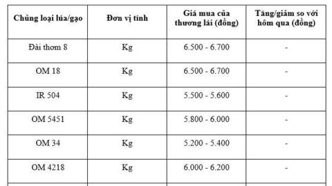 Giá lúa gạo hôm nay ngày 11/1 và tuần qua: Gạo biến động trái chiều