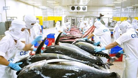 Gỡ 'thẻ vàng' IUU: 9 nhiệm vụ trọng tâm trước giờ 'G'