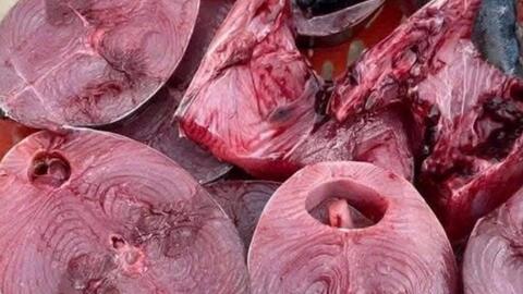 Giảm mỡ cánh tay bằng những loại cá nào?