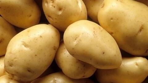 Loại củ khiến đường huyết tăng nhanh