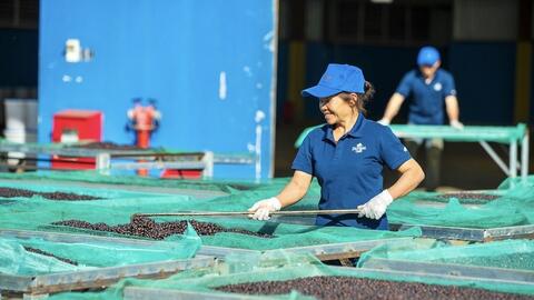 Doanh nghiệp Gia Lai vào guồng sản xuất đầu năm