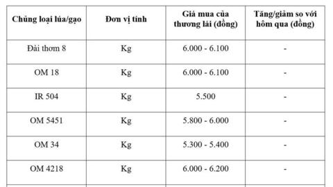 Giá lúa gạo hôm nay ngày 8/3 và tuần qua: Lúa tươi giảm giá