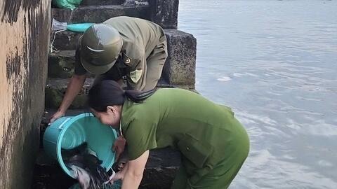 Công an Cần Thơ phát hiện 2 vụ kích điện khai thác thủy sản trái phép