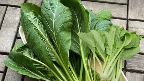Thải độc gan với rau cải xanh
