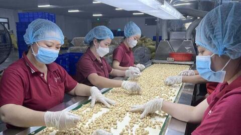 Thị trường châu Âu: Điểm đến tiềm năng của doanh nghiệp Việt